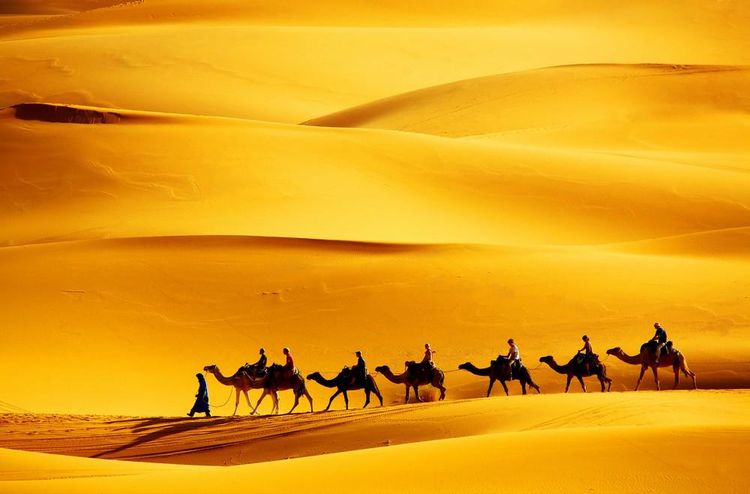 3-Day Tour: Fes to Marrakech via Merzouga Desert
