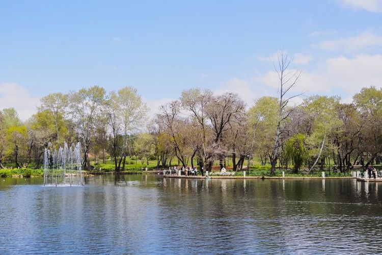Excursion d'une journée à Sefrou, Ifrane et Azrou depuis Fes