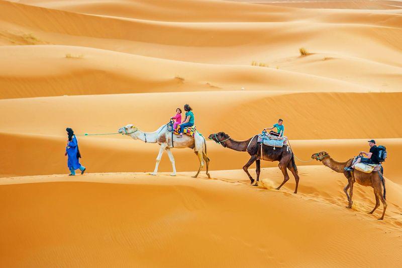 Morocco Express: 6 days from Marrakech to Tangier via Sahara and Fes