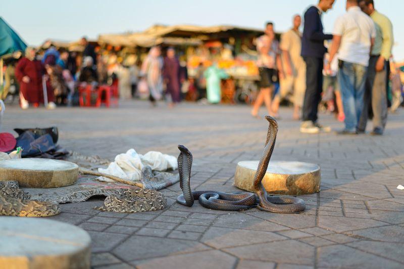 12 days Tour explore all Morocco from Tangier
