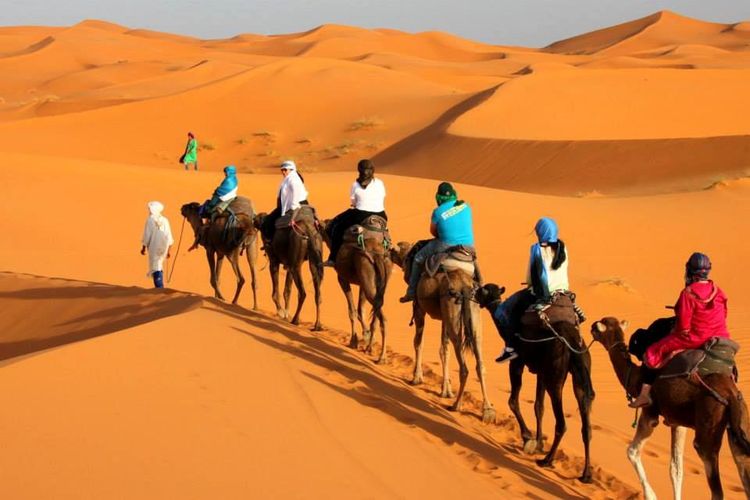 Camel trekking and overnight stay in Erg Chebbi sand dunes.