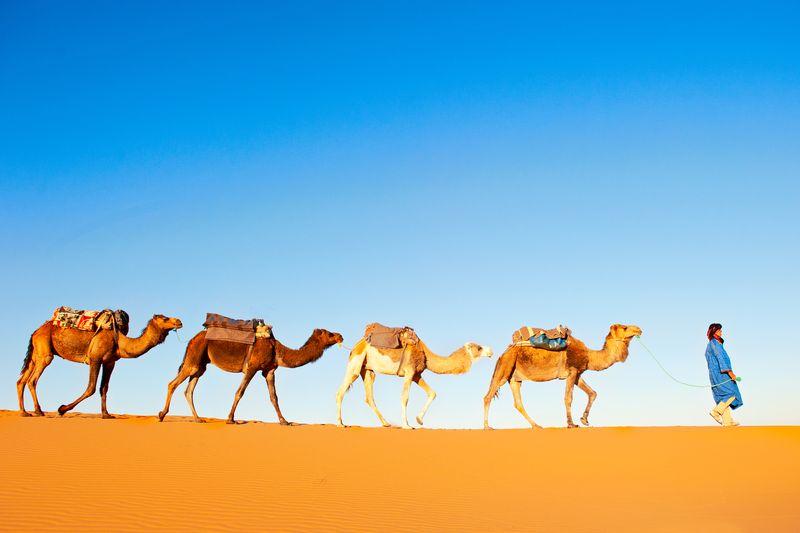 3-day Trip to Sahara desert and Todra Gorges from Fes