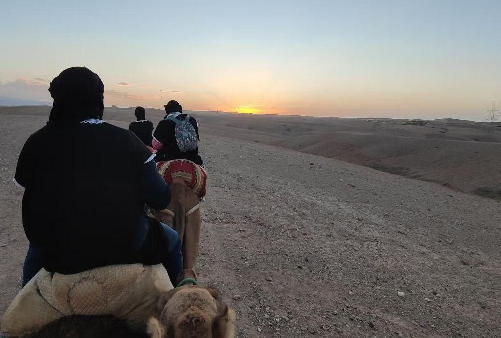 Agafay Desert Quad Biking and Camel Ride with Dinner Show from Marrakech