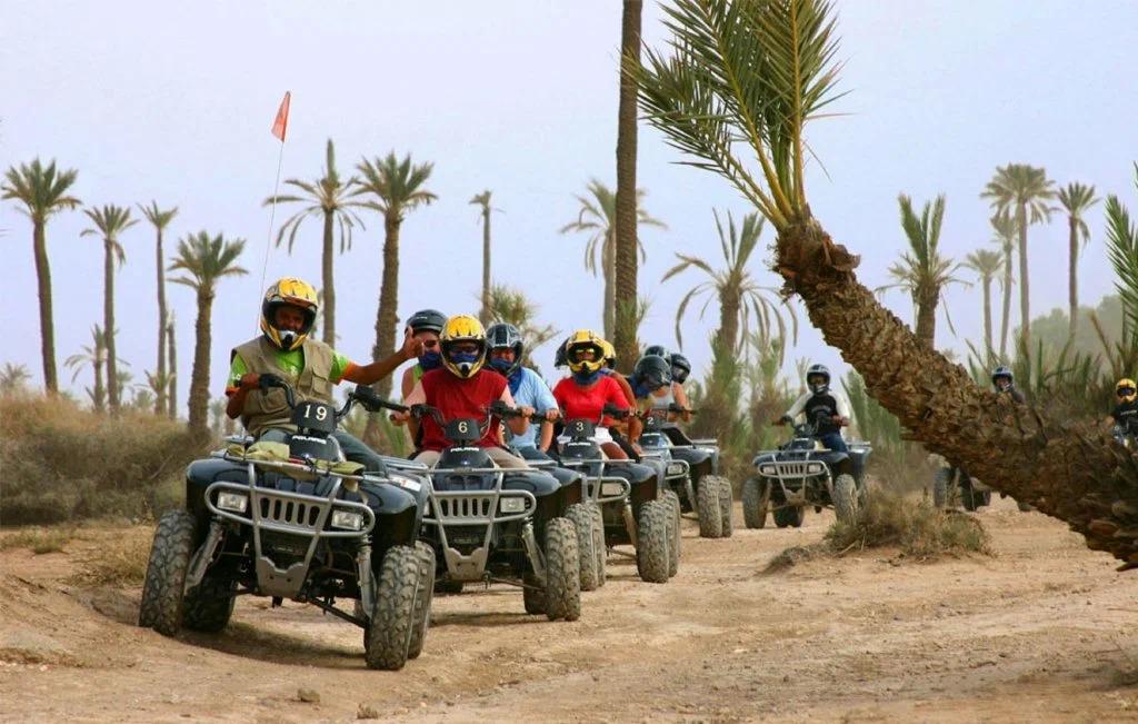 Quad-biking and camel riding tour in the Palm Grove of Marrakech