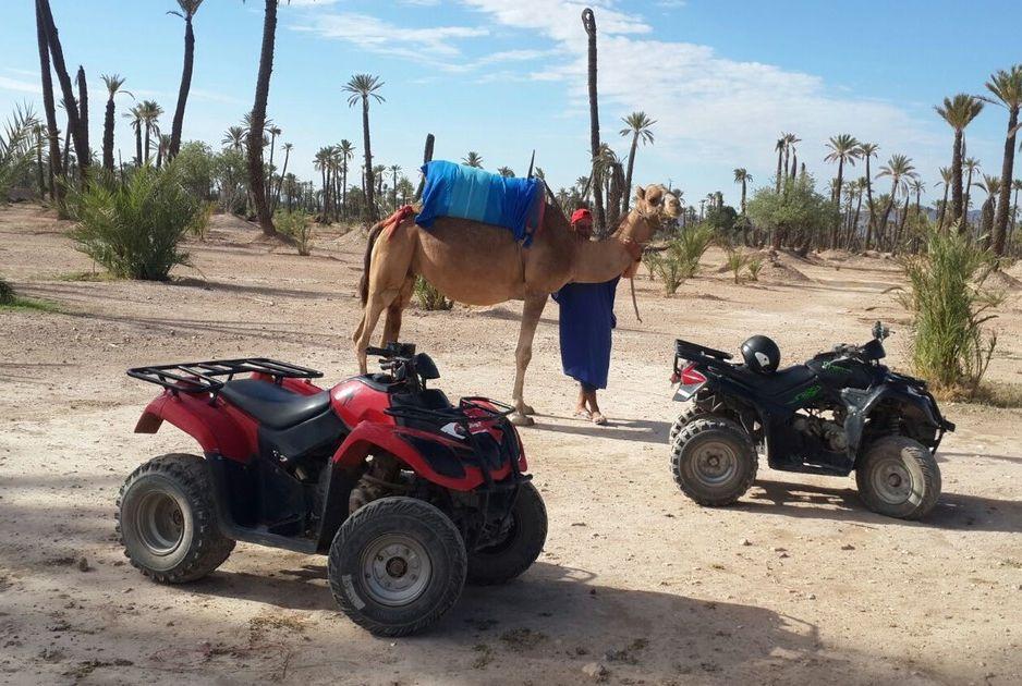 Quad-biking tour in the Palm Grove of Marrakech