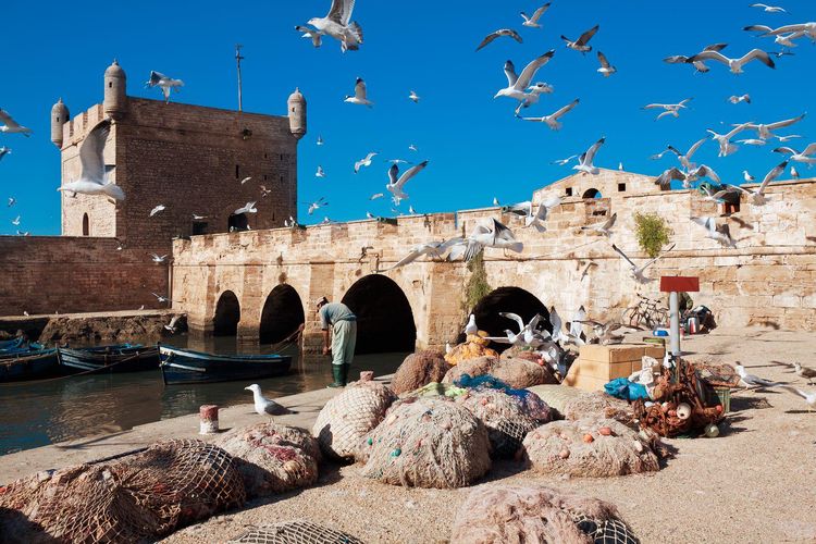 Essaouira Day Trip From Marrakech